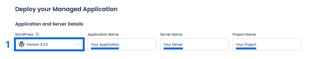 Application selected as WordPress and values entered under application, server, and project names.