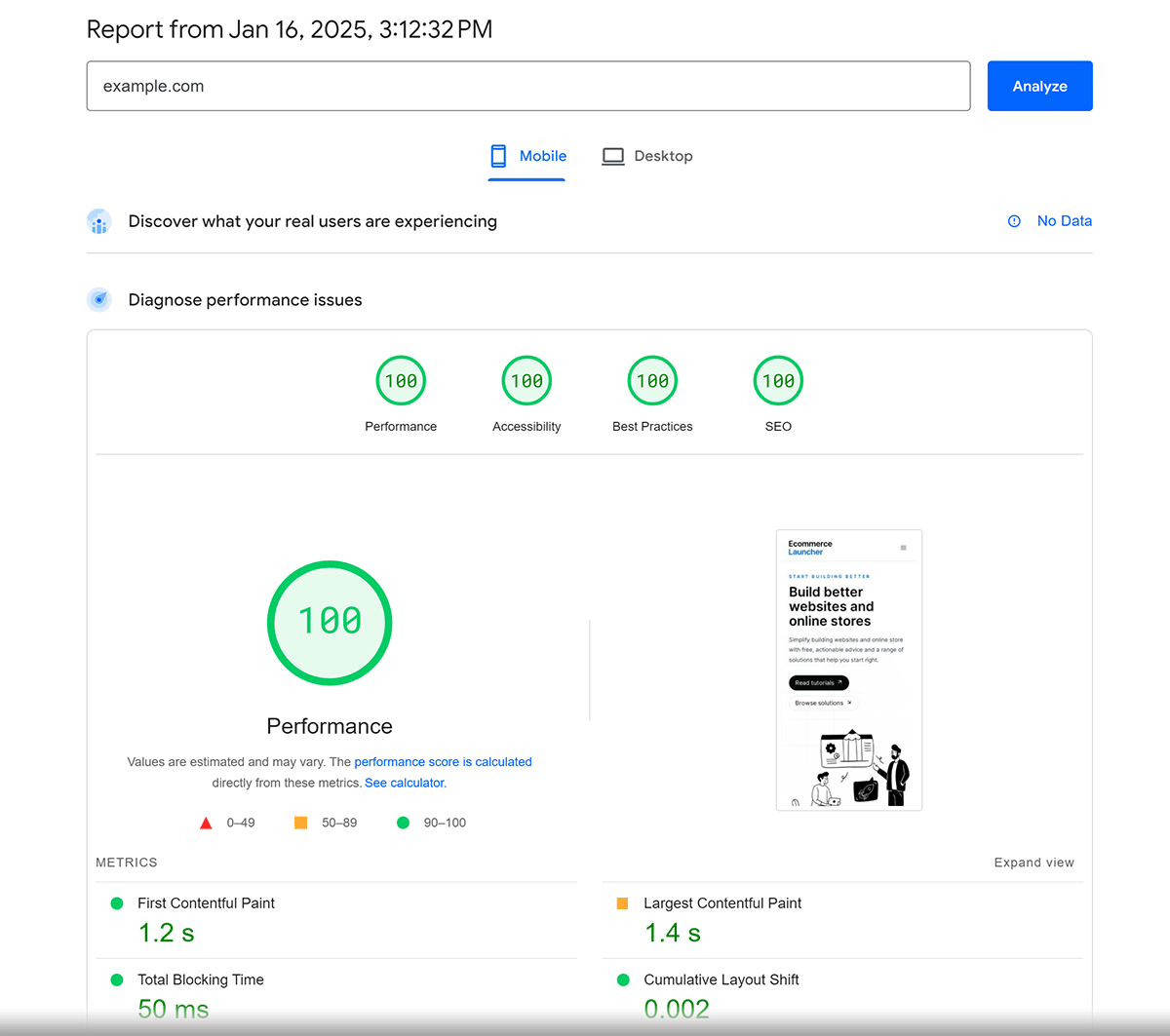 Google Pagespeed Insights report showing 100 score for performance, accessibility, best practices, and SEO for example site