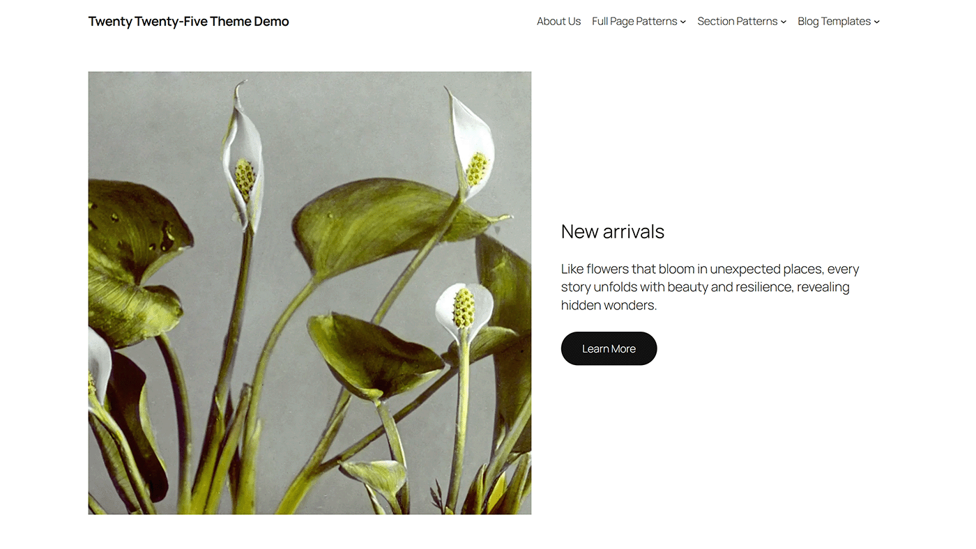 Website home page using the Twenty Twenty Five theme