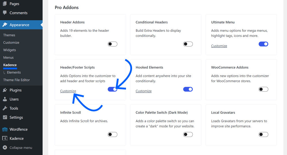 activate kadence header footer scripts feature
