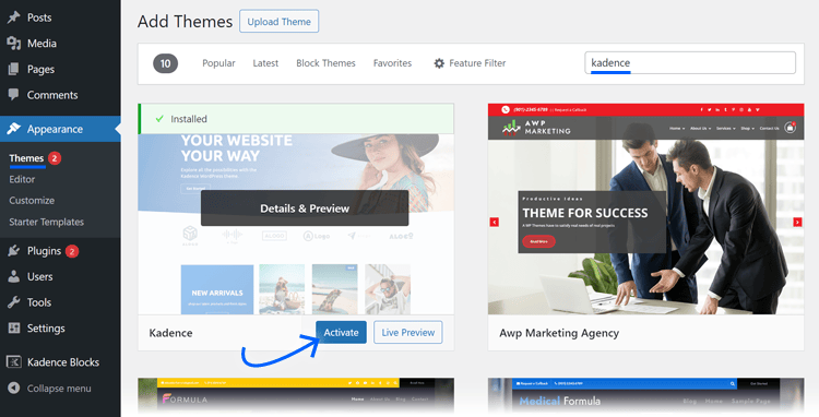 install and activate-kadence theme