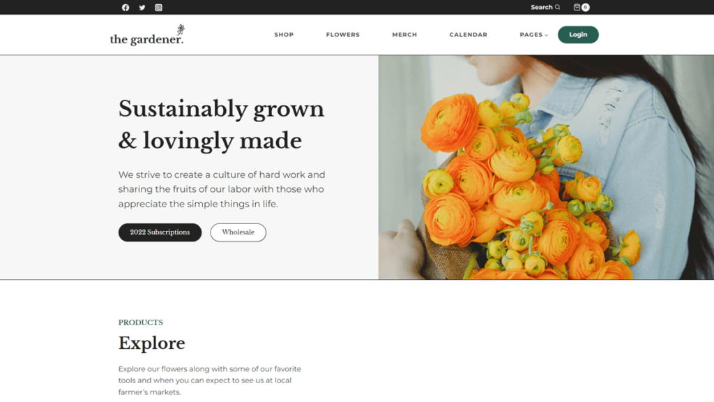 website designed with kadence blocks pro