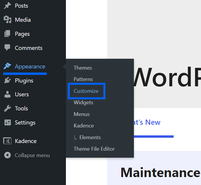 WordPress admin menu with Appearance and Customize options highlighted.