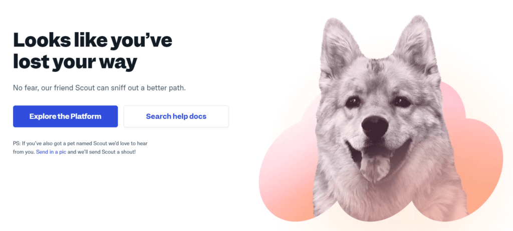Helpscout 404 page with dogs face and helpful message.
