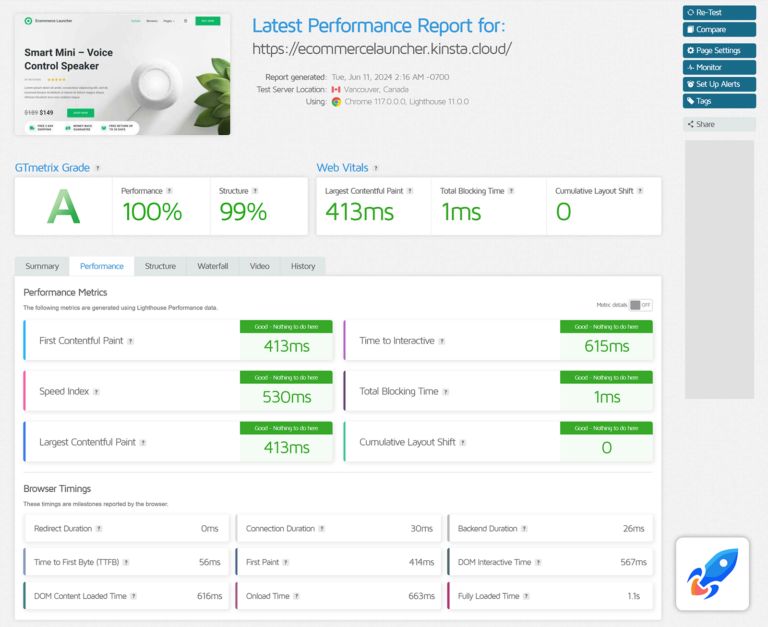 Website homepage GTmetrix test results showing 100% score.