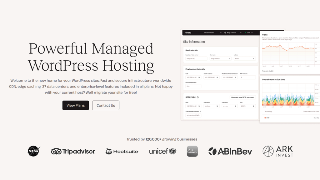 Kinsta Premium WordPress Hosting
