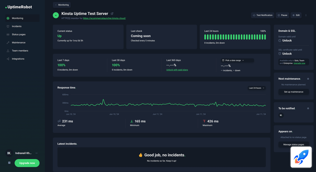 Kinsta review website uptime test report