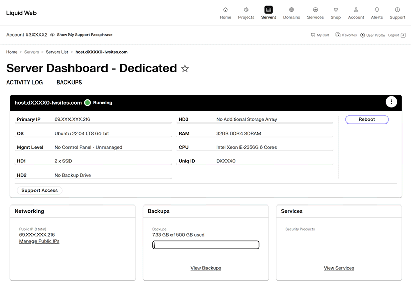 Server Dashboard showing status as running and other server-specific data