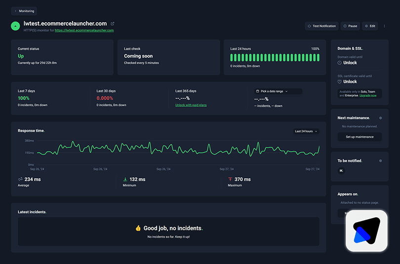 Server uptime report showing 100% uptime